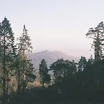 Farm *