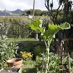 Farm *