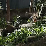 Apartment Farm