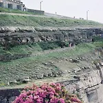 Farm * סינטרה