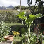 Farm * סינטרה