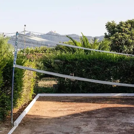 Farm * 신트라
