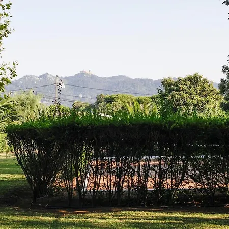 Farm Sintra