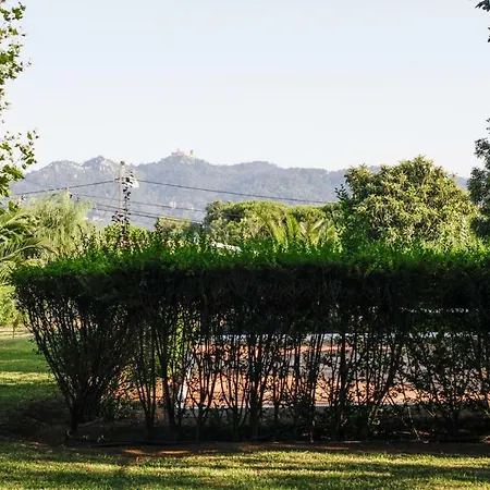 Apartment Farm Sintra