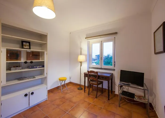 Farm 신트라